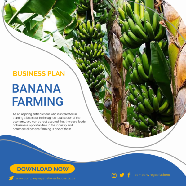 banana farming business plan